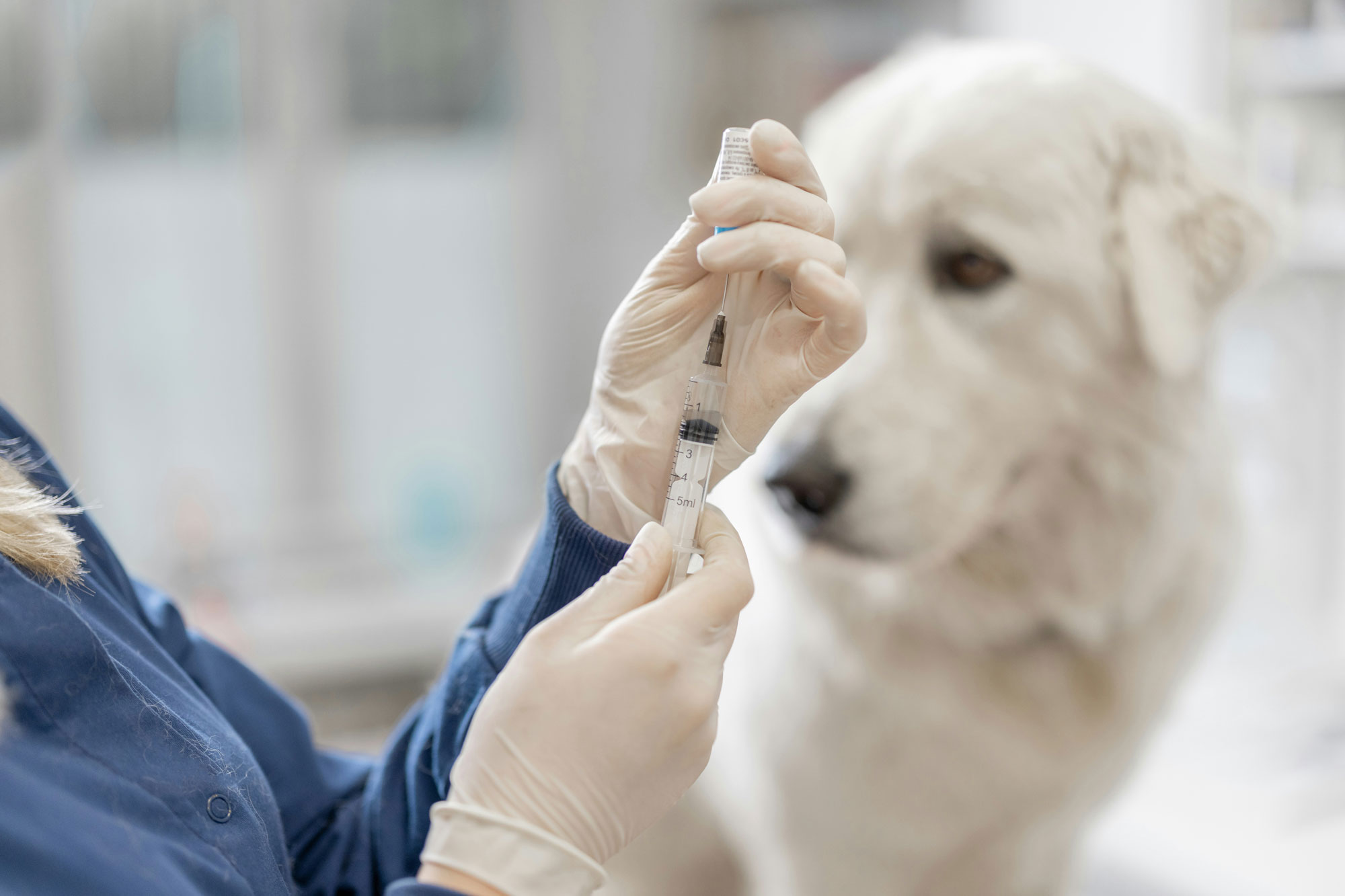 Tierarztpraxis_Fischeln_Praxis_Slider_web_02